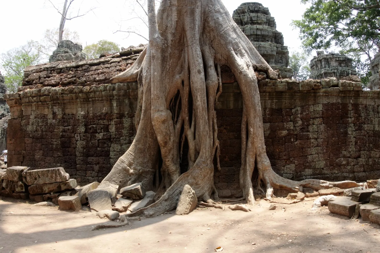 Nos premiers temples à Angkor et le groupe de Roluos