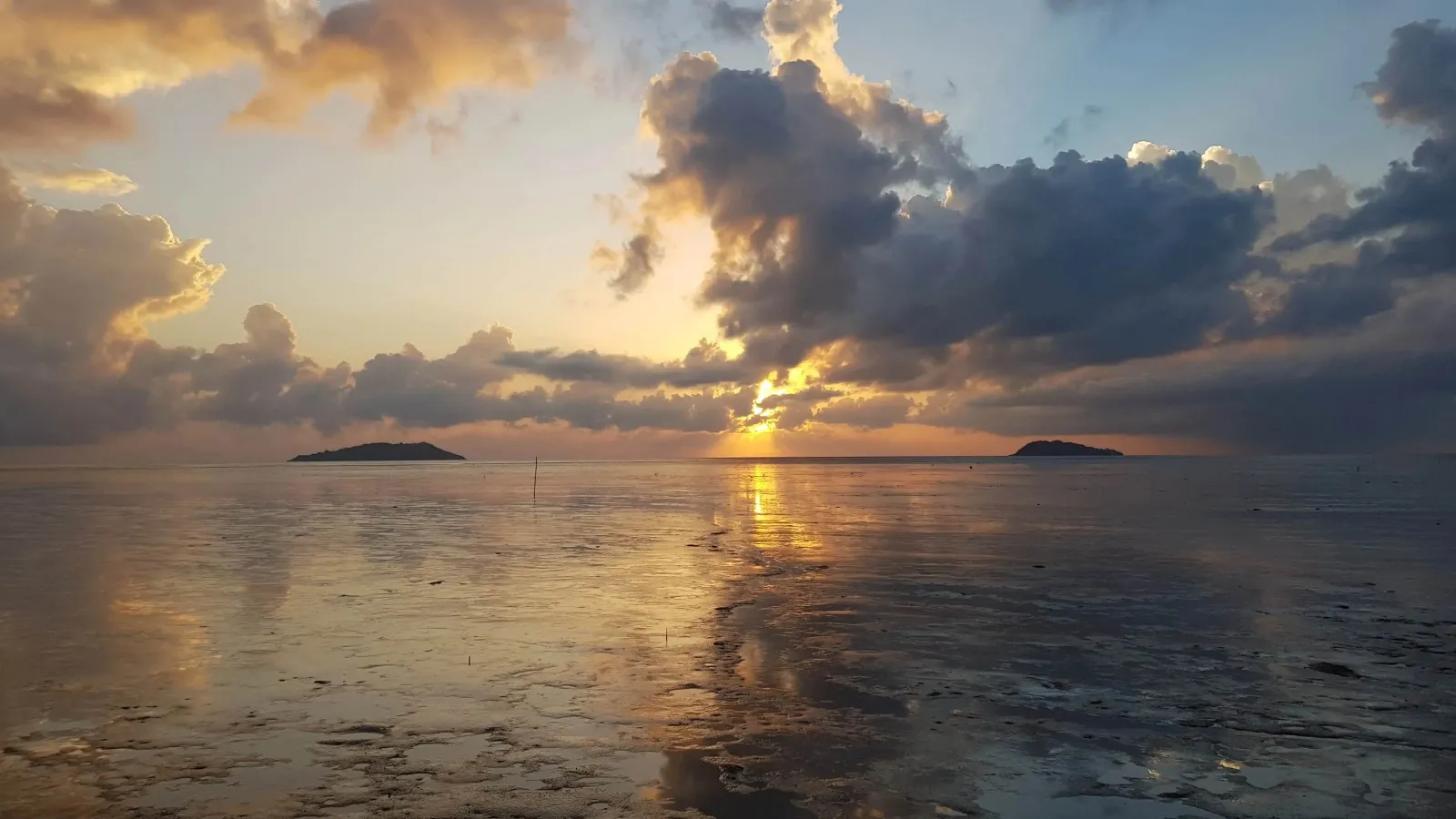 La Guyane au carrefour des 5 continents