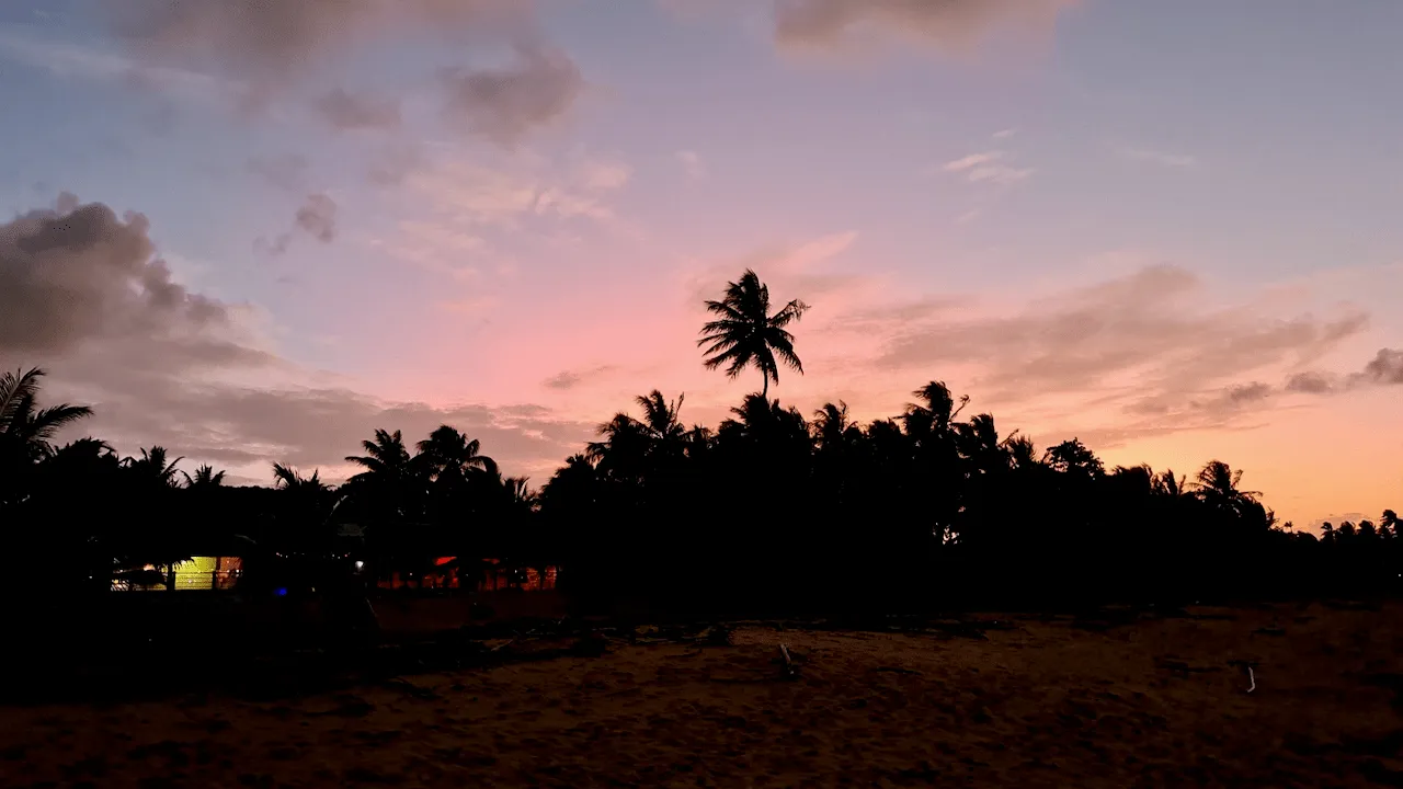 Guyane Life