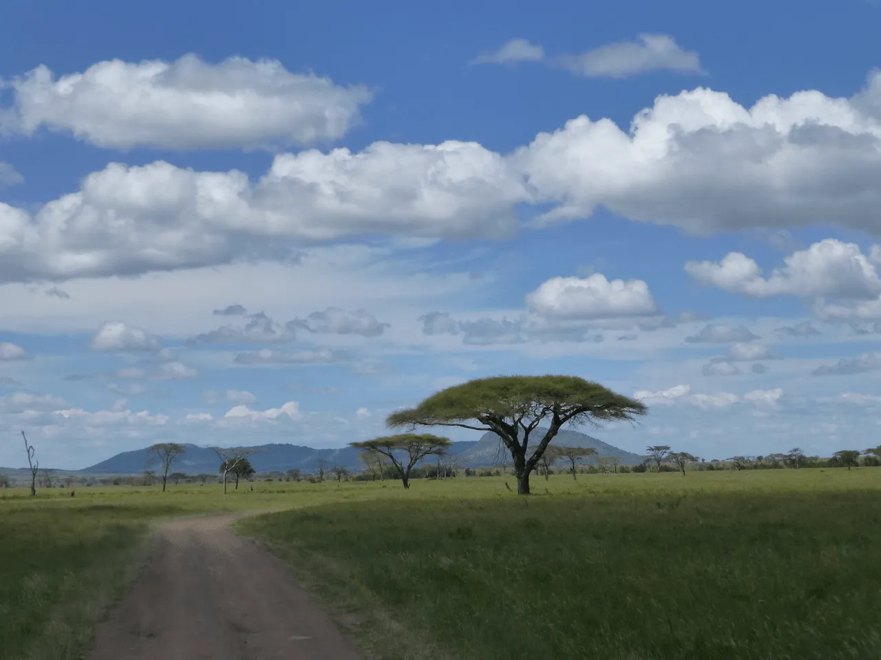 Tanzanie